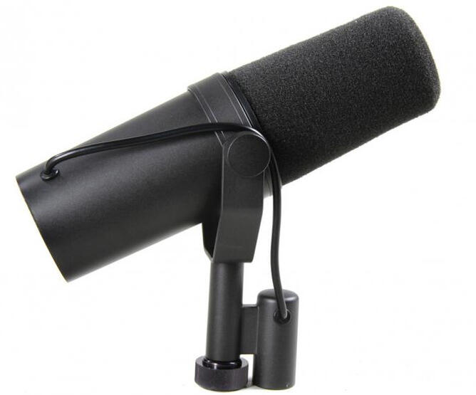 mic